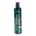 Shampoo de Aloe Vera Livealoe 300ml