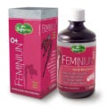 Chá Feminiun SupraErvas 500ml
