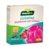 Gelatina Diet de Framboesa com Linhaça Natural Life 12g