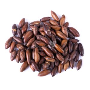 Castanha de Baru Torrada 100g - Imagem 2