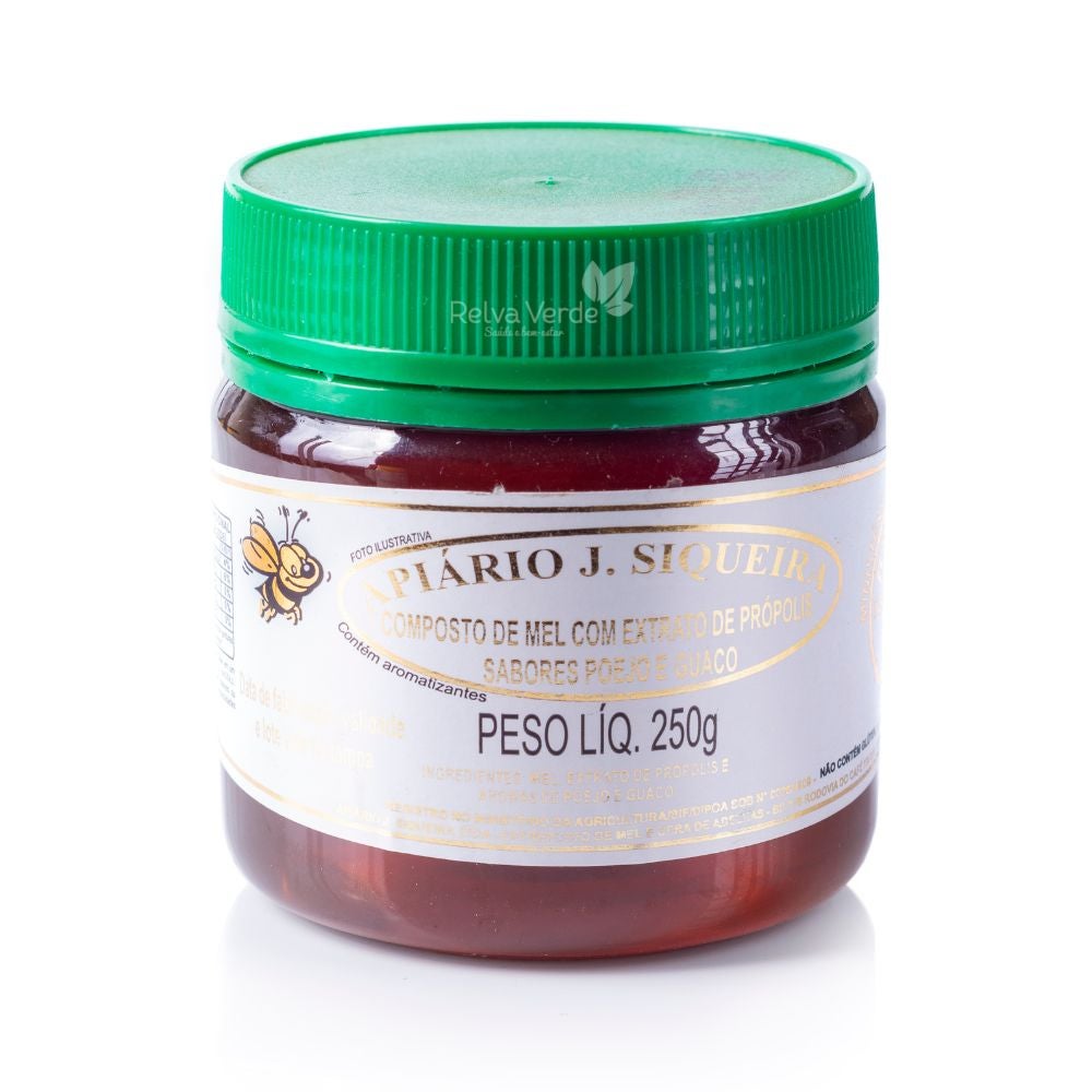 Composto Mel, Própolis, Guaco e Poejo Casa do Mel 250g