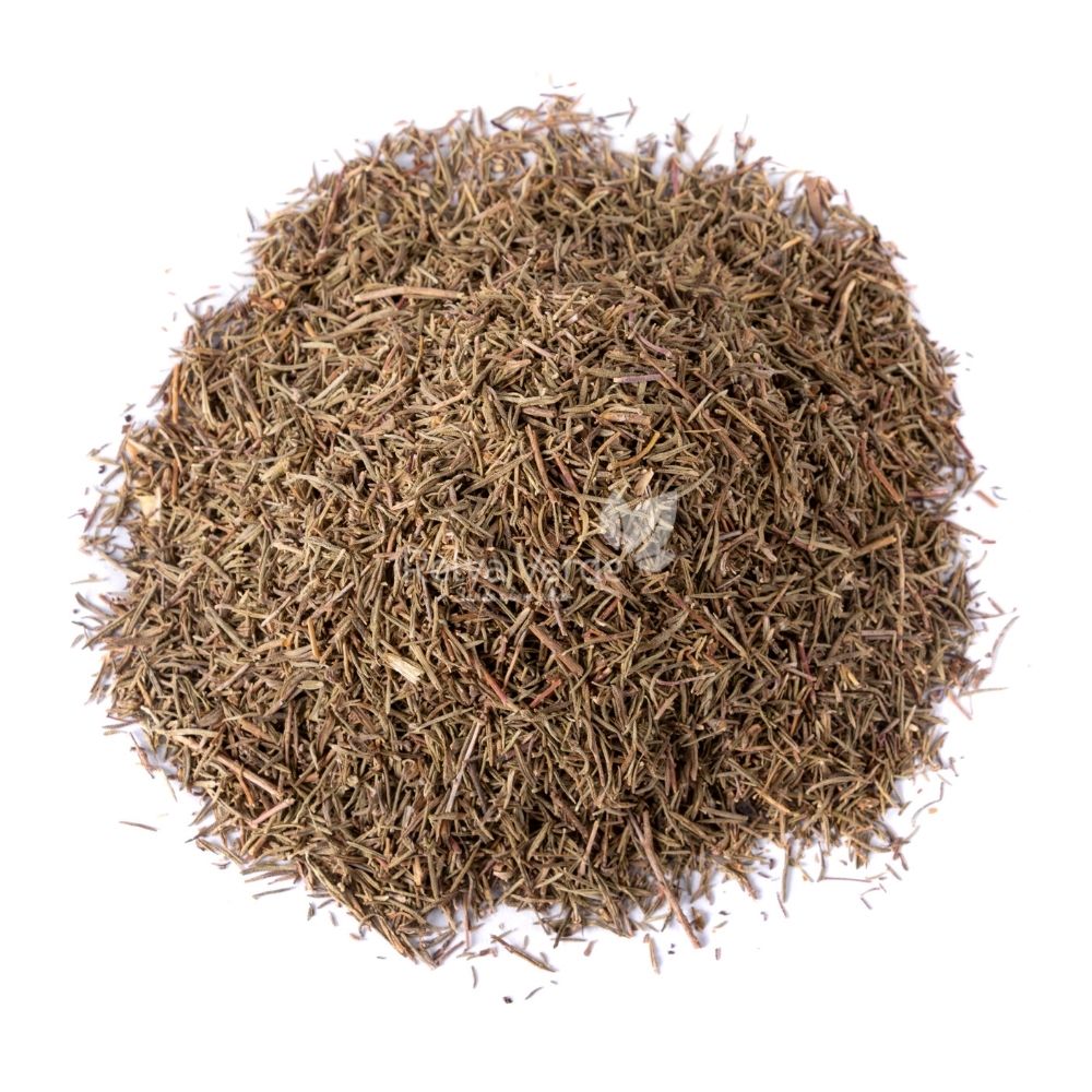 Segurelha (Satureja) 100g - Imagem 2