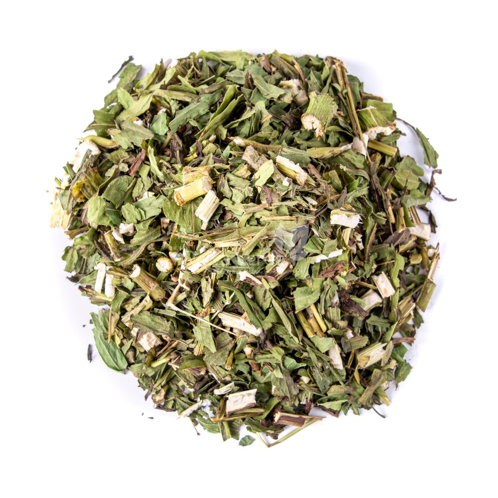 Arnica 100g - Imagem 2