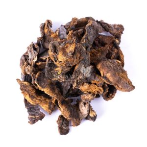 Funghi 100g - Imagem 2