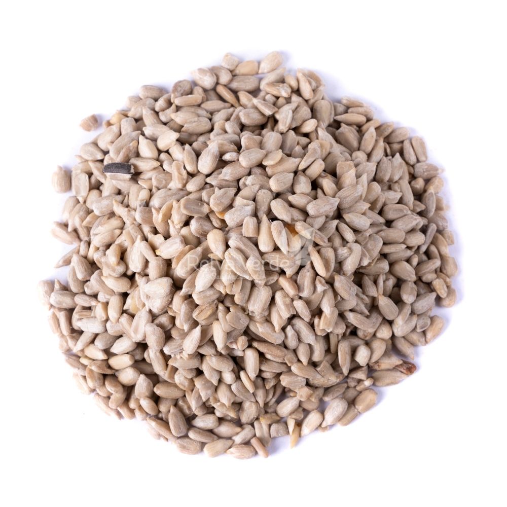 Girassol Semente (Pepita) 500g - Imagem 2
