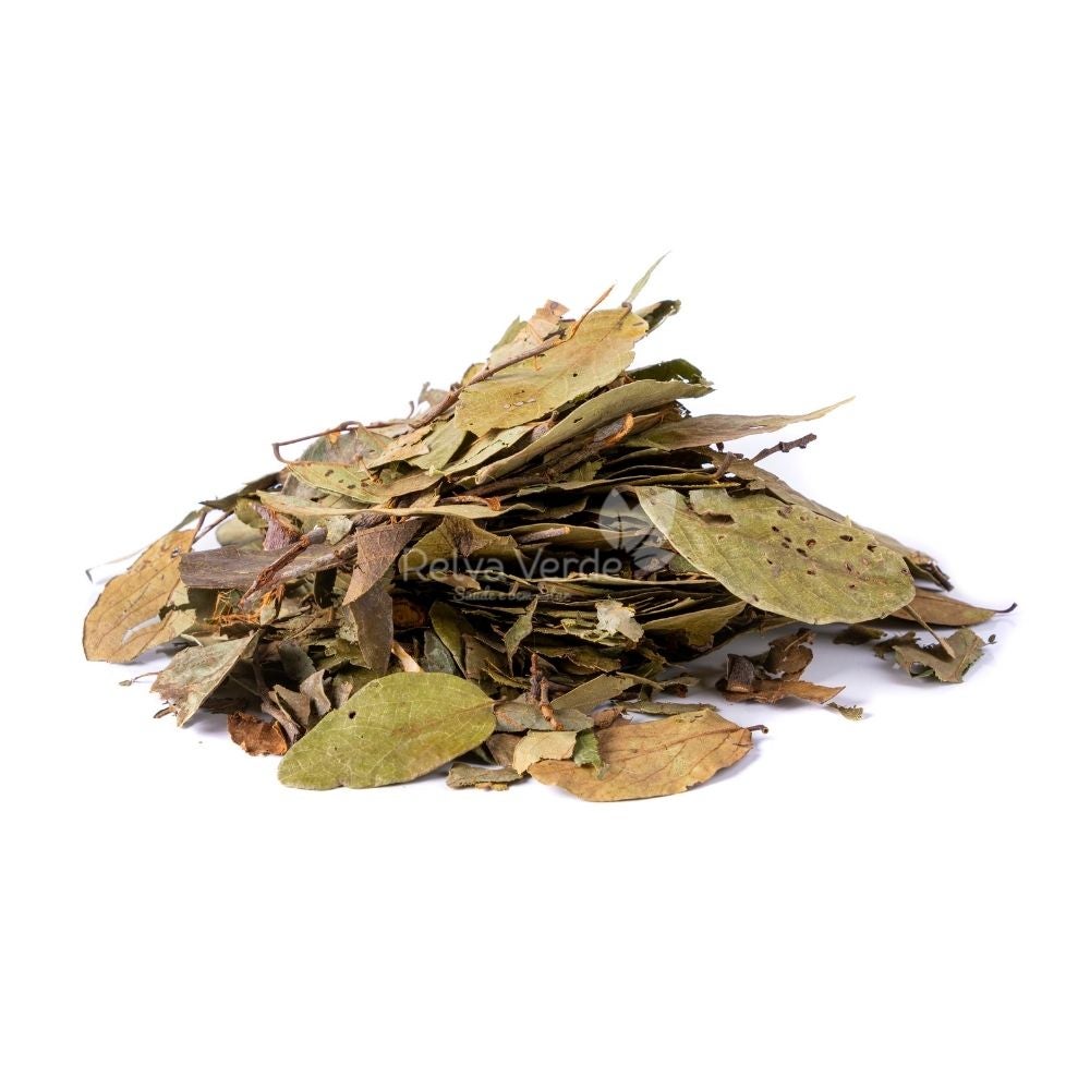 Graviola em Folha 100g