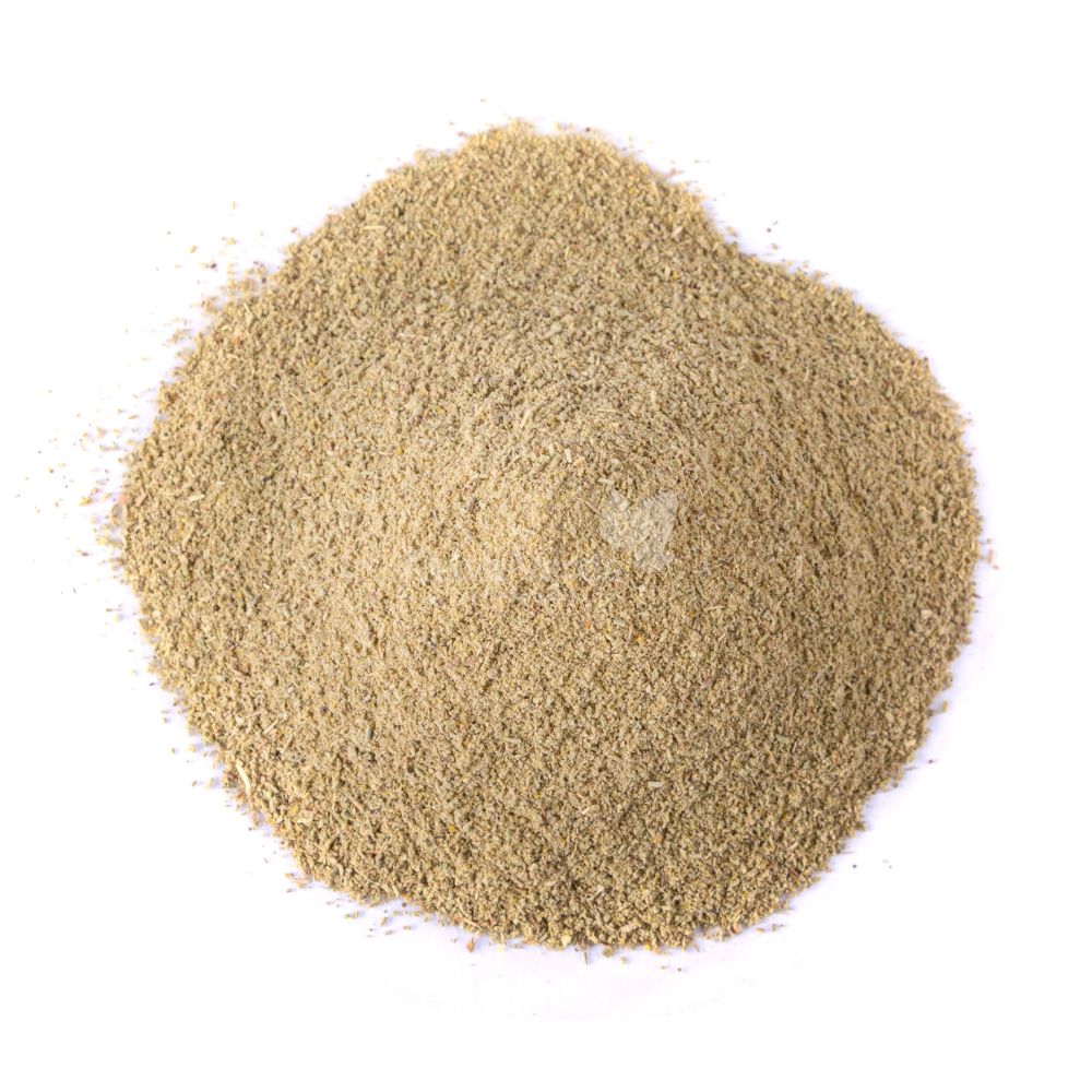 Alecrim em Pó 100g - Imagem 2