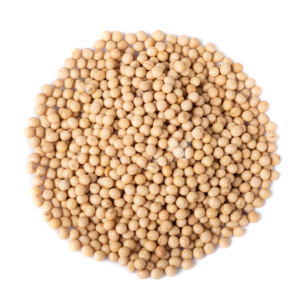 Soja em Grão 1kg - Imagem 2