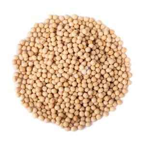 Soja em Grão 500g - Imagem 2