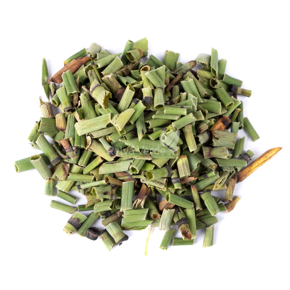 Cavalinha 100g - Imagem 2