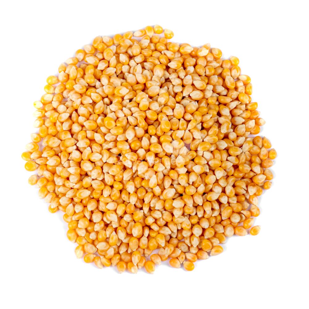 Milho de Pipoca Mushroom 500g - Imagem 2