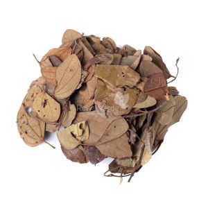 Pata de Vaca 100g - Imagem 2