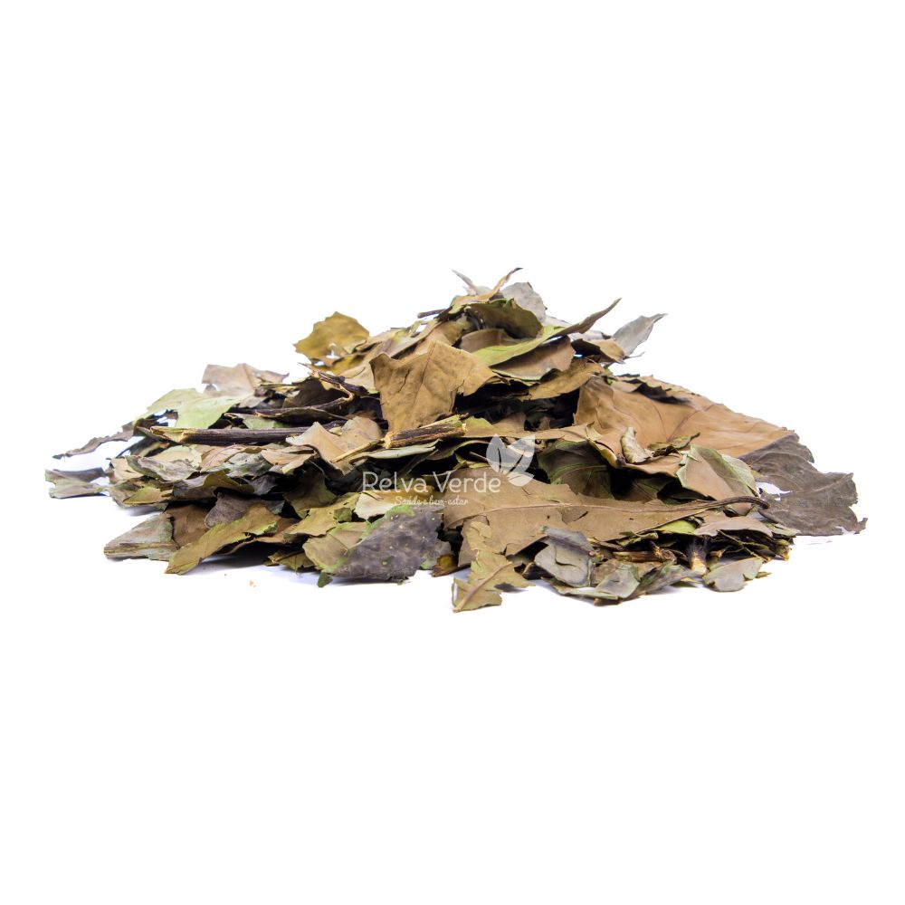 Banchá (Chá Verde) 100g