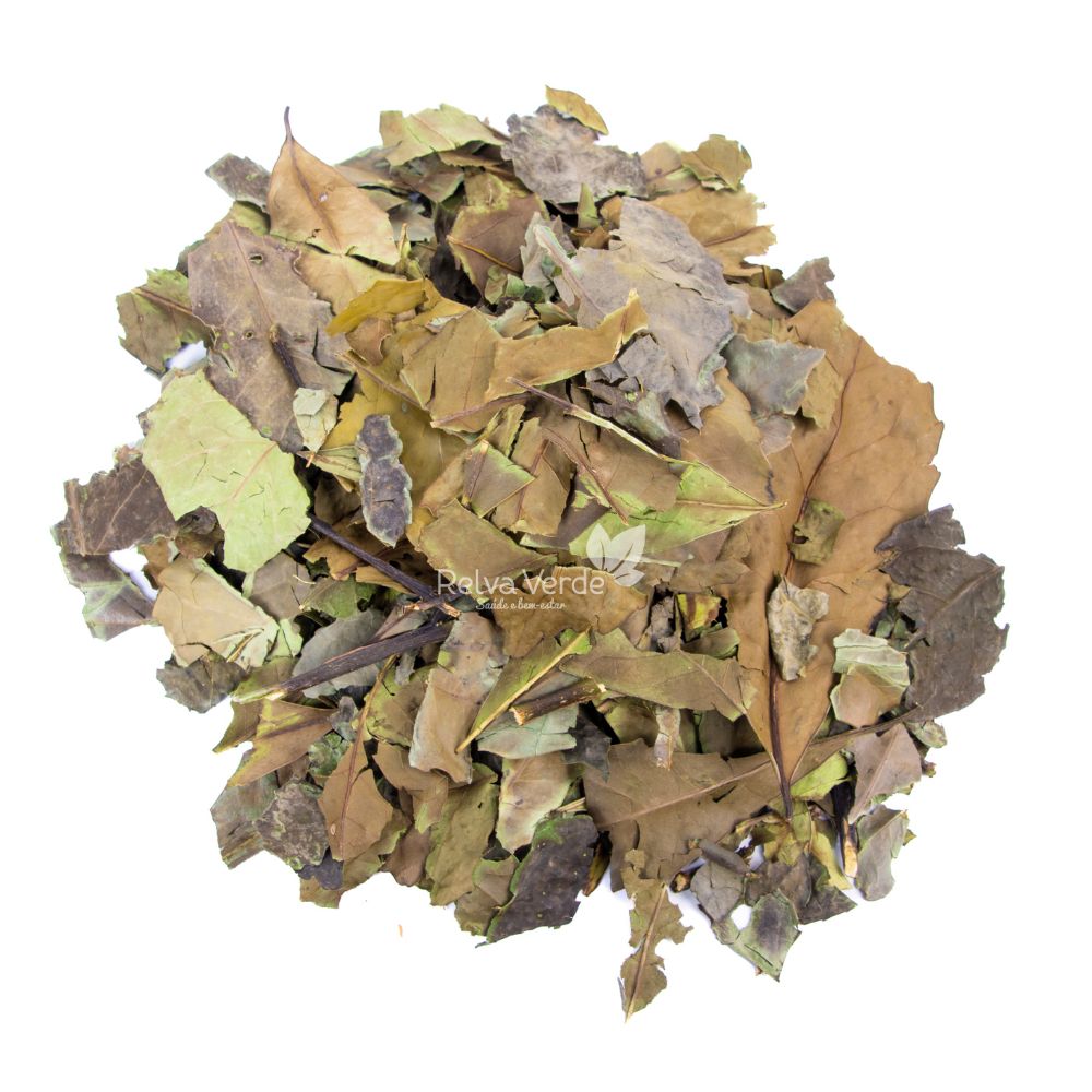 Banchá (Chá Verde) 100g - Imagem 2