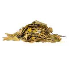 Chá de Ginkgo Biloba 100g