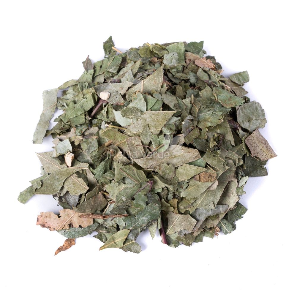 Folhas de Eucalipto 100g - Imagem 2