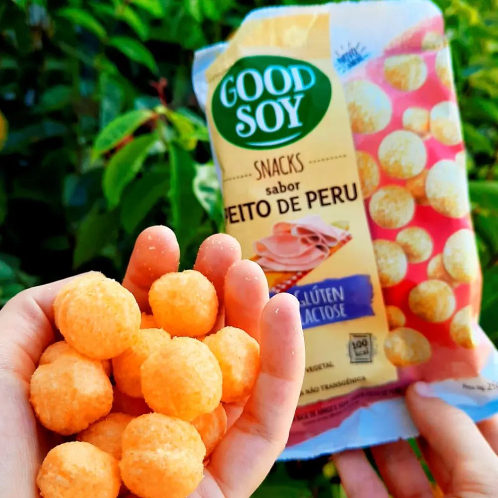 Snack de Soja Peito de Peru Good Soy 25g - Imagem 2