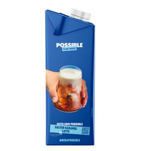 Bebida de Castanha de Caju Sabor Leite sem Leite Possible 1L - Imagem 2