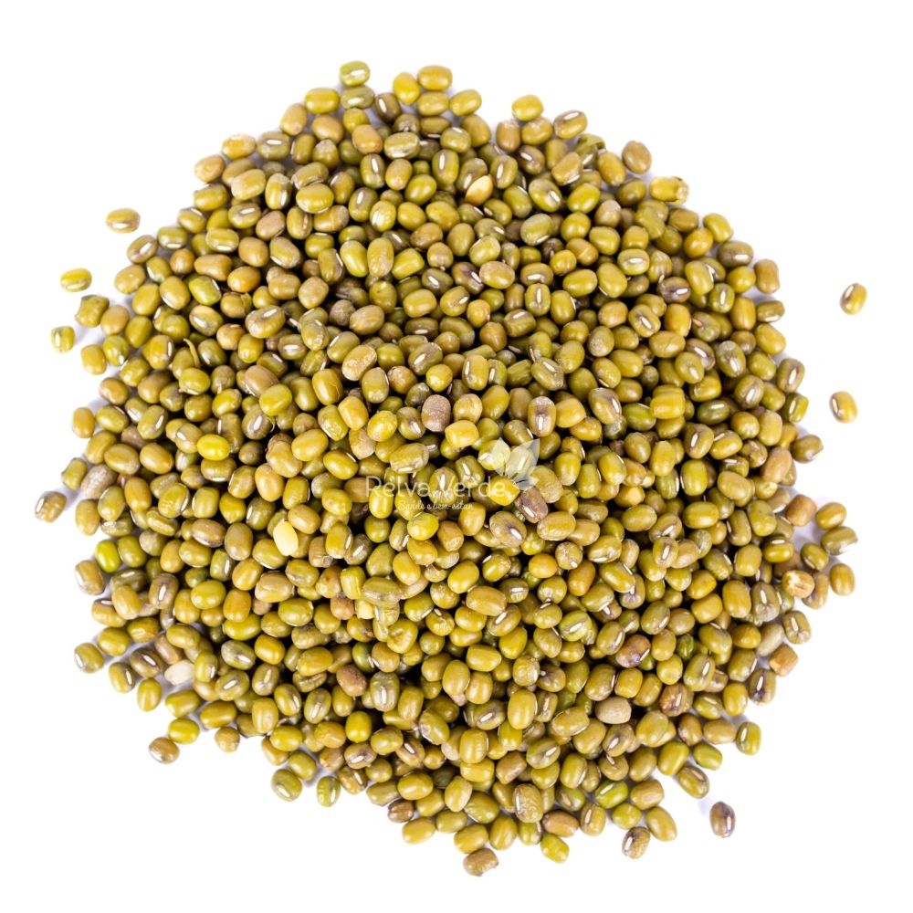 Feijão Moyashi (Mungo) 500g - Imagem 2