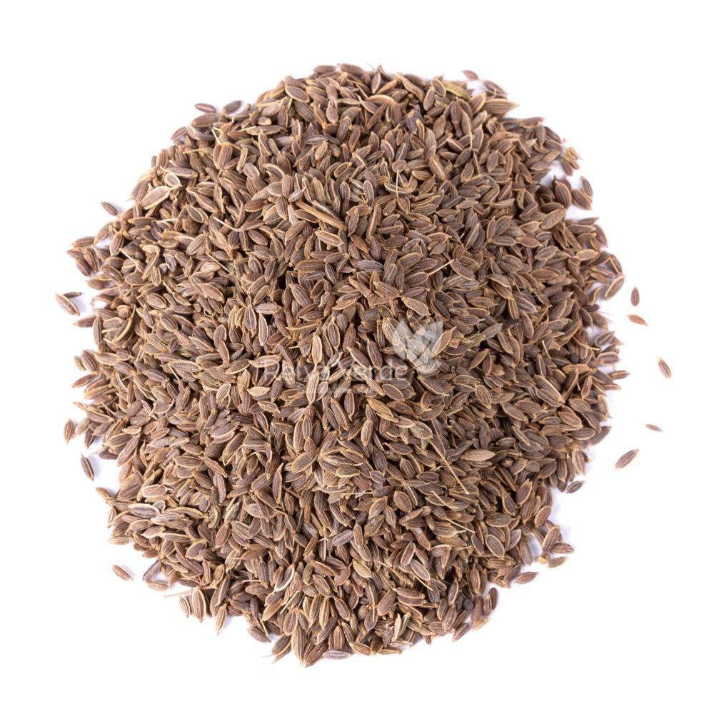 Semente de Endro 100g - Imagem 2