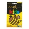 Mel Multifloral Orgânico Sachê Kids Nobreflora 40g