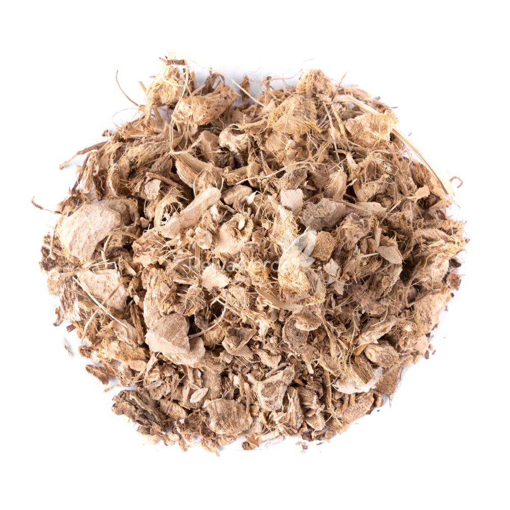 Chá de Angelica 100g - Imagem 2