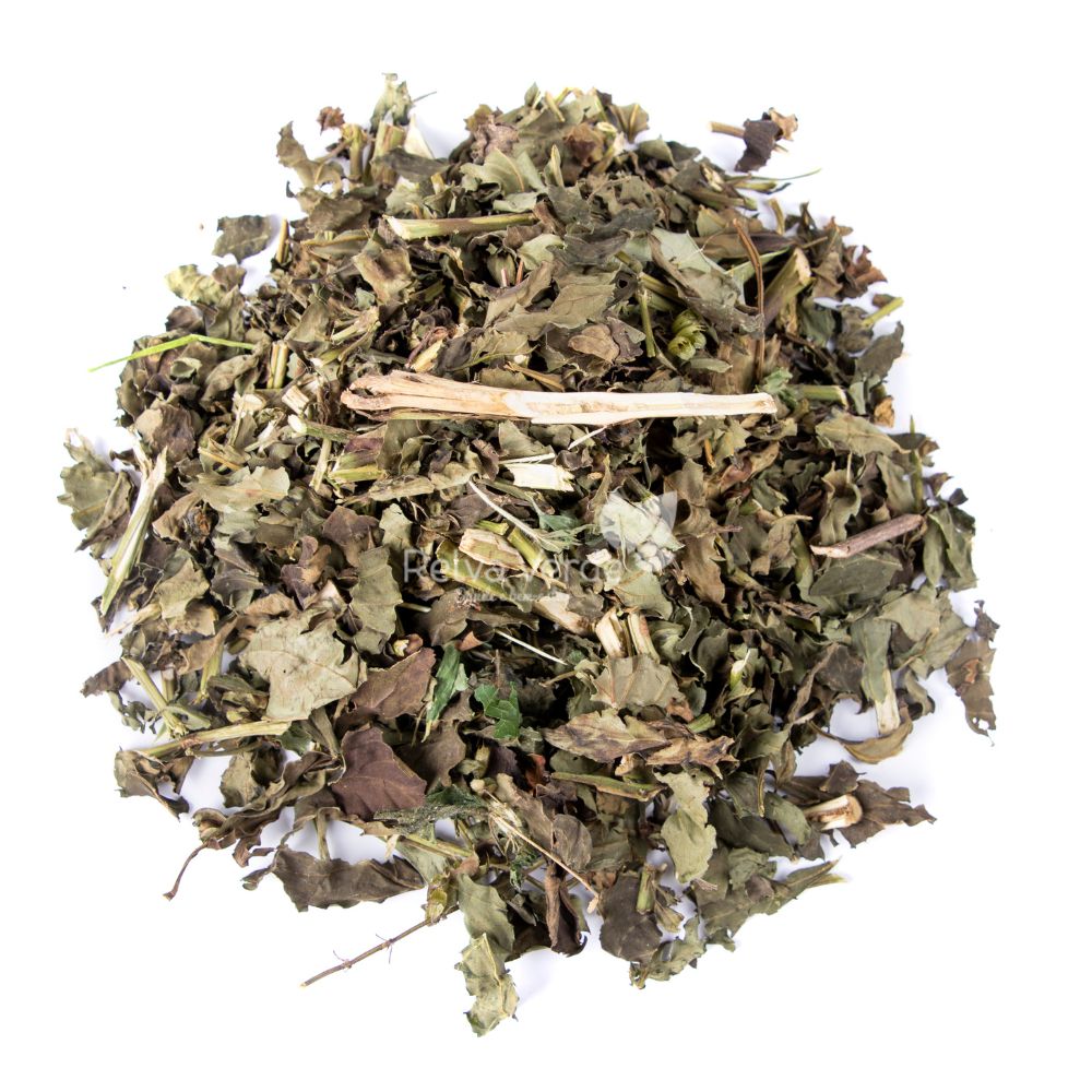 Alfavaca 100g - Imagem 2