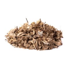 Chá de Angelica 100g