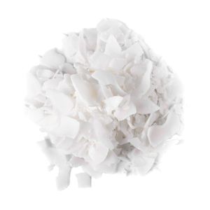 Chips de Coco (Fitas) 500g