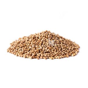 Coentro em Grão 100g