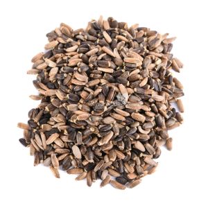 Cardo Mariano (Silybum marianum) 100g - Imagem 2